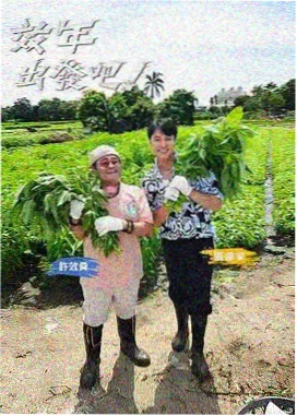音乐竞演综艺声线博物馆海报